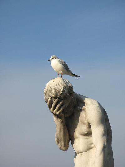 Article : Ces benguistes qui nous foutent la honte